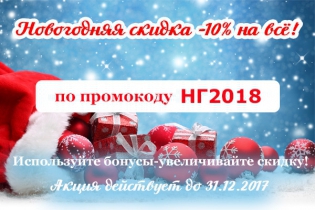 Новогодняя скидка 10% на всё!