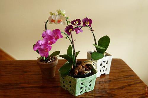 миниатюры из полимерной глины, орхидеи