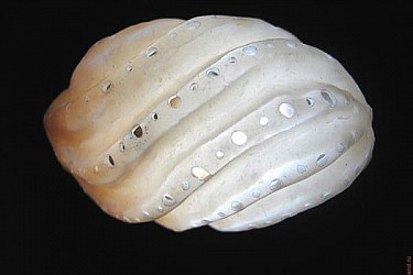 Полые бусины из полимерной глины (4)