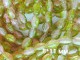 Бусины овальные с кракелюром розово-болотные