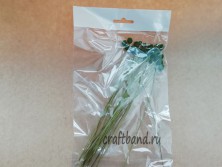 Сингонантус окрашенный зеленый