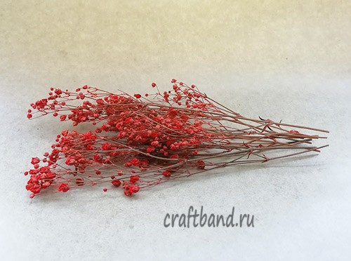 Гипсофила оранжевая окрашенная